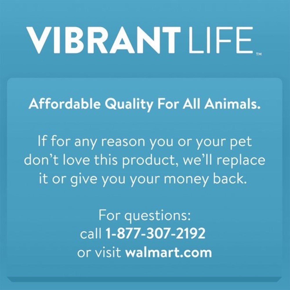 NWT Vibrant life 5 ft red leash for dogs and cats - Picture 4 of 5
